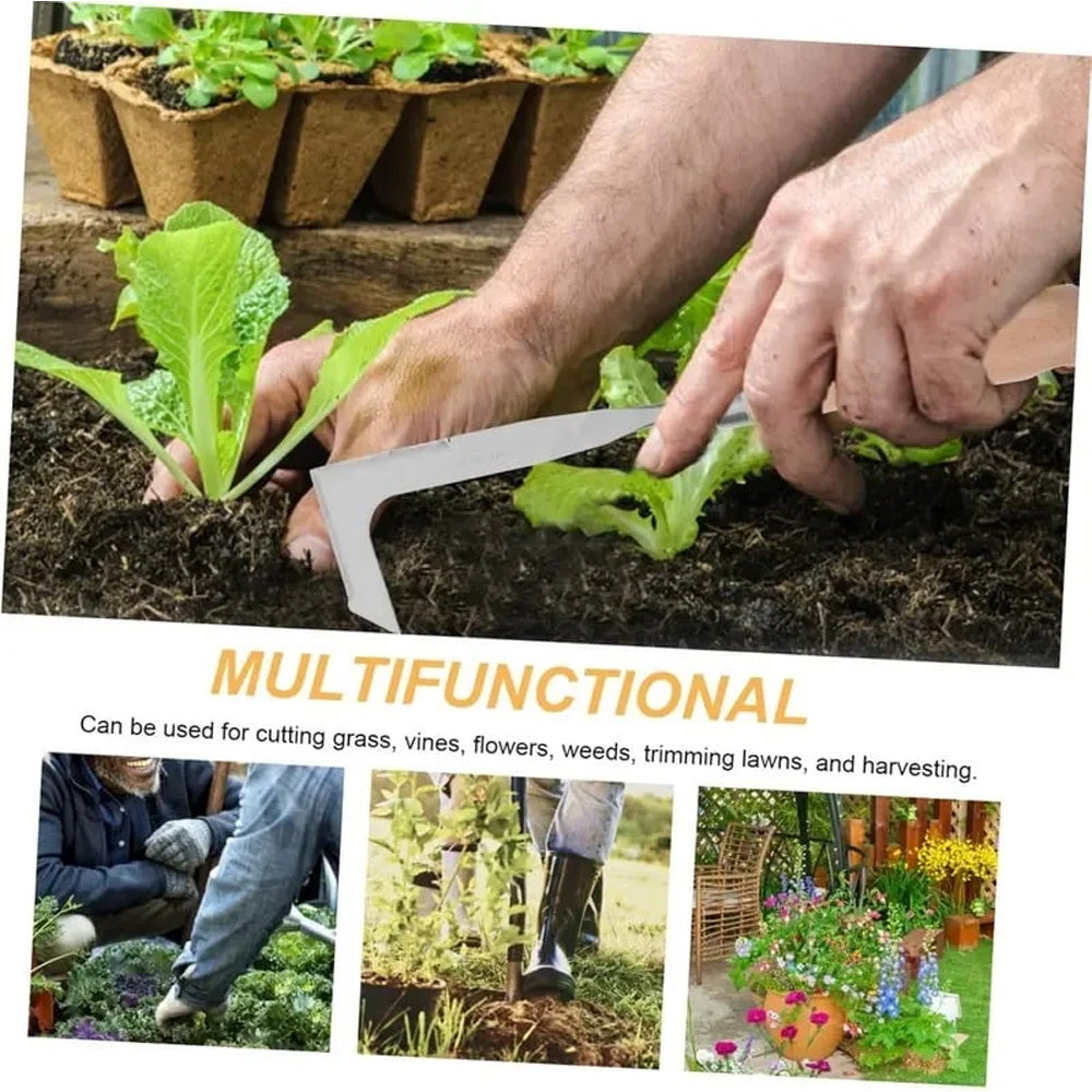 🌱49% OFF NOW! 2026 New Crack Weeder Tool Crevice Cleaning Tool‑Manual Hand Weeder with Wooden Handle, Sturdy Metal Weeding Tool for Pavement Joints, Patio Bricks & Garden Crevice Weed Removal