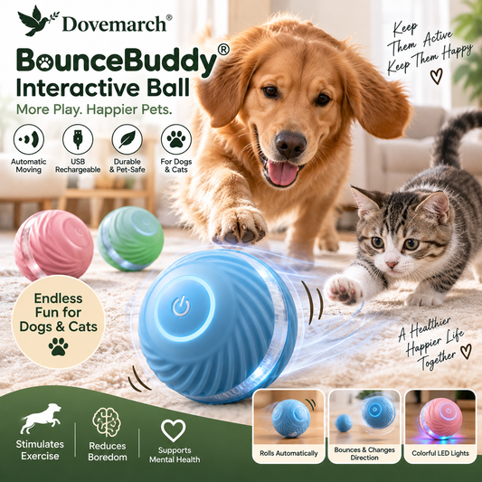Dovemarch® BounceBuddy Interactive Ball